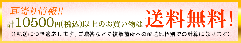 10500円で送料無料